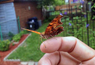 Friendly Butterfly