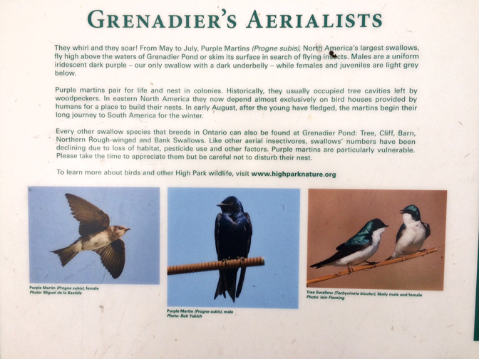 Sign at High Park