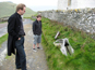 A Whale's skull